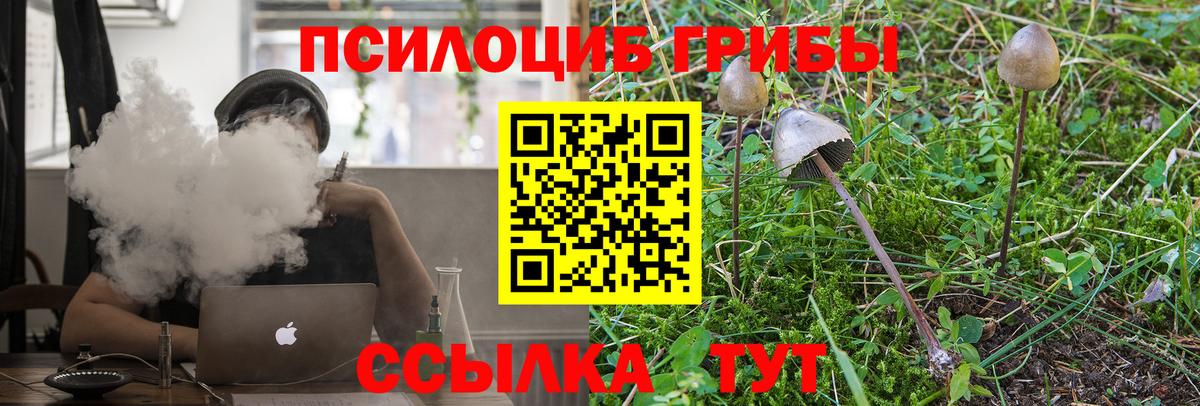 Галлюциногенные грибы Psilocybine cubensis Учалы