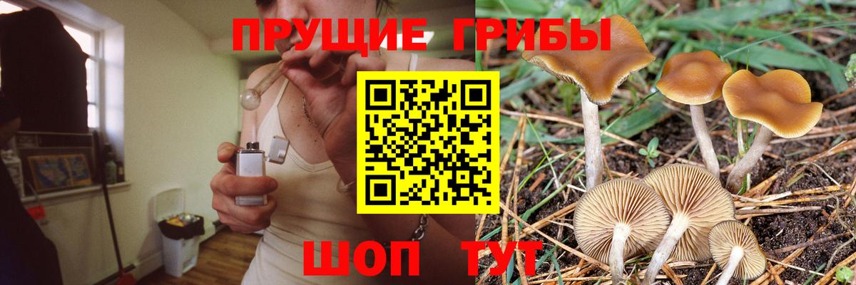 Псилоцибиновые грибы Magic Shrooms  Вход с VPN  Псилоцибиновые грибы GOLDEN TEACHER  Учалы 